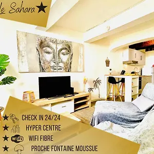  Appartement *le Sahara*hyper Centre*wifi*